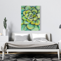Toile 36 x 48 - Succulent à l'aquarelle