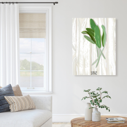 Canvas 36 x 48 - Sage on wood