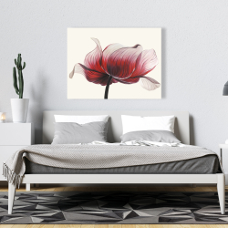 Toile 36 x 48 - Fleur anémone