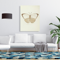 Canvas 36 x 48 - Sepia butterflies