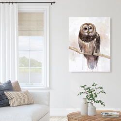 Canvas 36 x 48 - Barred owl