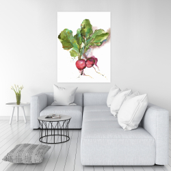 Canvas 36 x 48 - Watercolor radish