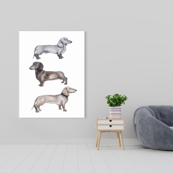 Toile 36 x 48 - Chiens teckel