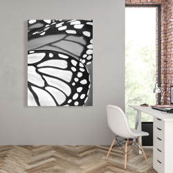 Toile 36 x 48 - Plan rapproché d'ailes de papillon