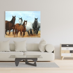 Canvas 36 x 48 - Horses in the meadow by the sun