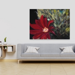 Canvas 36 x 48 - Echinopsis red cactus flower