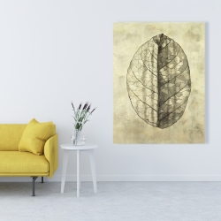 Canvas 36 x 48 - Translucent