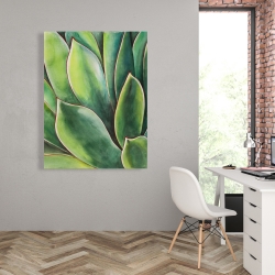 Canvas 36 x 48 - Watercolor agave plant