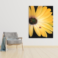 Canvas 36 x 48 - Yellow daisy and ladybug