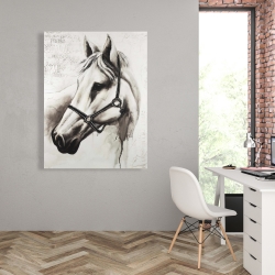 Toile 36 x 48 - Flicka le cheval blanc