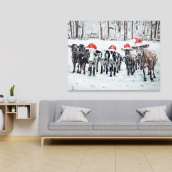 Canvas 36 x 48 - Curious christmas cows