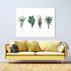 Canvas 36 x 48 - Fine herbs