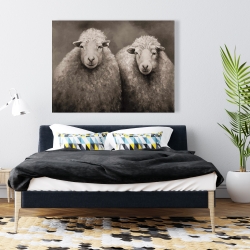 Toile 36 x 48 - Moutons sépia