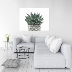 Canvas 36 x 48 - Zebra plant succulent