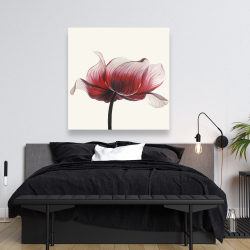 Toile 48 x 48 - Fleur anémone