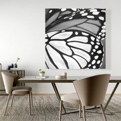 Canvas 48 x 48 - Butterfly wings closeup