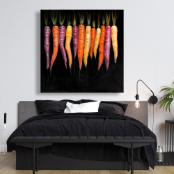 Toile 48 x 48 - Variétés de carottes