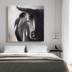 Toile 48 x 48 - Plan rapproché d'un taureau