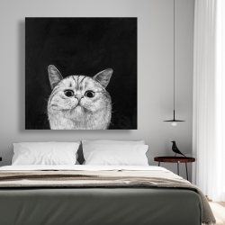 Canvas 48 x 48 - Watching cat