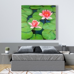 Canvas 48 x 48 - Lotus flowers in a swamp