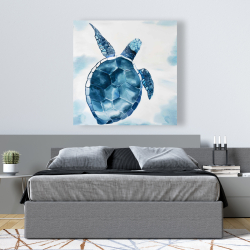 Toile 48 x 48 - Tortue bleu