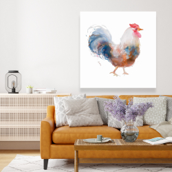 Toile 48 x 48 - Coq à l'aquarelle