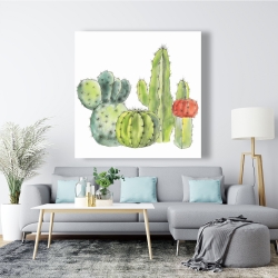 Toile 48 x 48 - Rassemblement de petits cactus