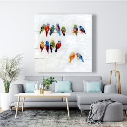 Toile 48 x 48 - Oiseaux colorés sur des fils