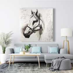 Toile 48 x 48 - Flicka le cheval blanc
