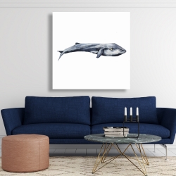 Toile 48 x 48 - Baleine en aquarelle