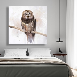 Canvas 48 x 48 - Barred owl