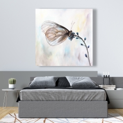 Toile 48 x 48 - Papillon sur fleurs bleues