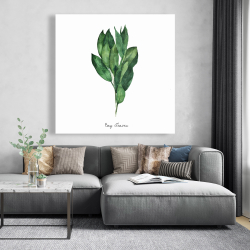 Toile 48 x 48 - Bouquet de feuilles de laurier - an