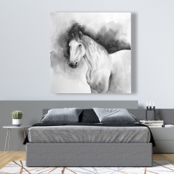 Canvas 48 x 48 - Domino horse