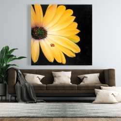 Canvas 48 x 48 - Yellow daisy and ladybug