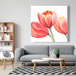 Toile 48 x 48 - Belles tulipes 