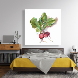 Toile 48 x 48 - Radis à l'aquarelle