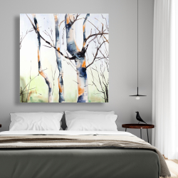 Canvas 48 x 48 - Three small birch trees
