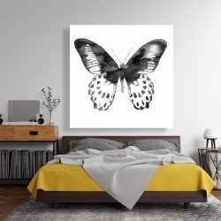 Toile 48 x 48 - Papillon noir