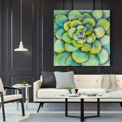 Toile 48 x 48 - Succulent à l'aquarelle