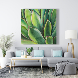 Toile 48 x 48 - Plante d'agave à l'aquarelle