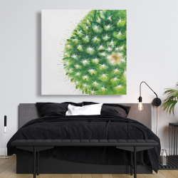 Toile 48 x 48 - Mini cactus à l'aquarelle