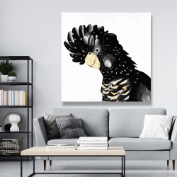 Canvas 48 x 48 - Cockatoo parrot