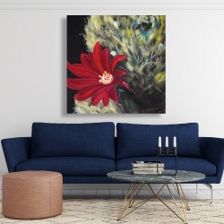 Canvas 48 x 48 - Echinopsis red cactus flower