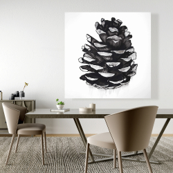 Toile 48 x 48 - Cocotte de pin