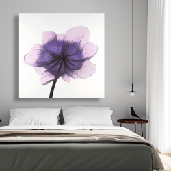 Canvas 48 x 48 - Beautiful anemone purple flower