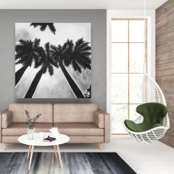 Canvas 48 x 48 - Monochrome palm trees