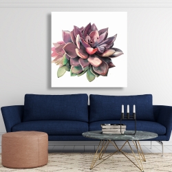 Canvas 48 x 48 - Succulent
