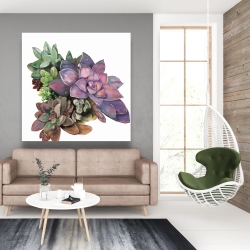 Canvas 48 x 48 - Succulent plant