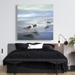 Canvas 48 x 48 - Three gulls
